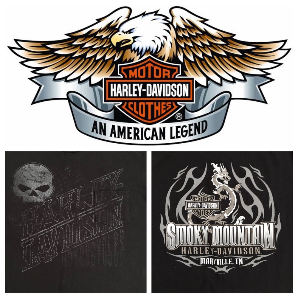 Harley Davidson 2017 Smokey Mountains Mens Size XL Black Skull Dragon Shirt